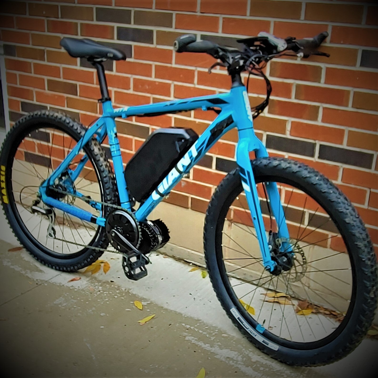 1000W BBSHD 48V 52V Bafang Mid Drive –